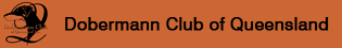 Dobermann Club of Queensland